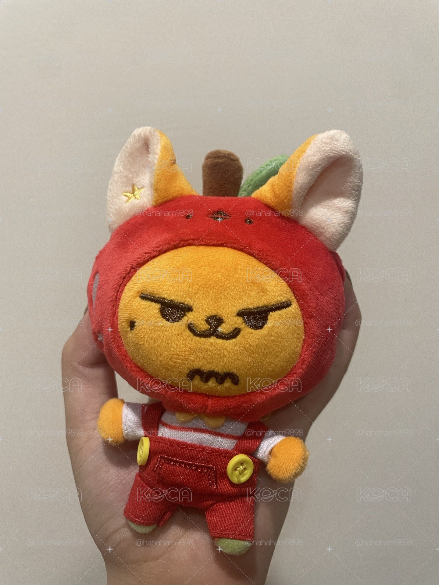 可可愛愛蘋果黃春