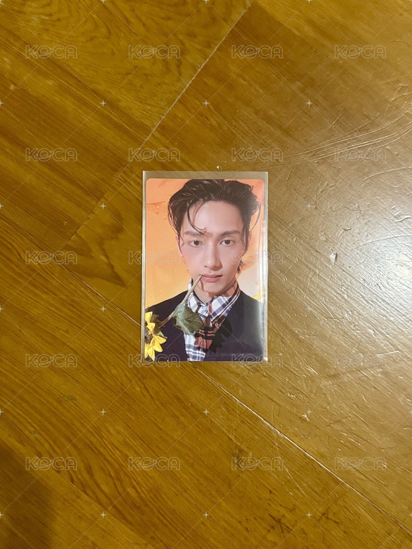 精選專 HERE ver. 專輯卡