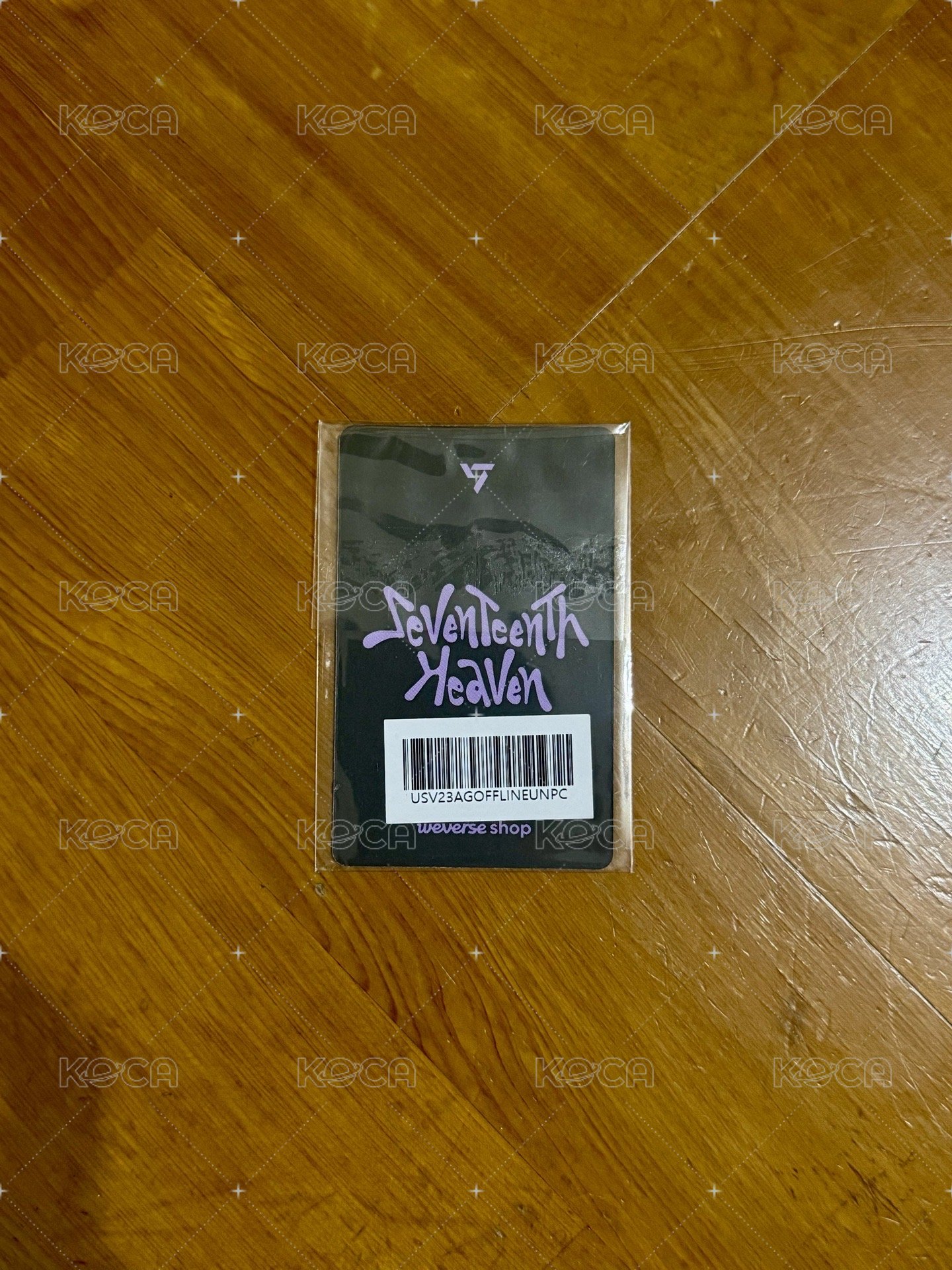 迷十一 WVS 特典卡