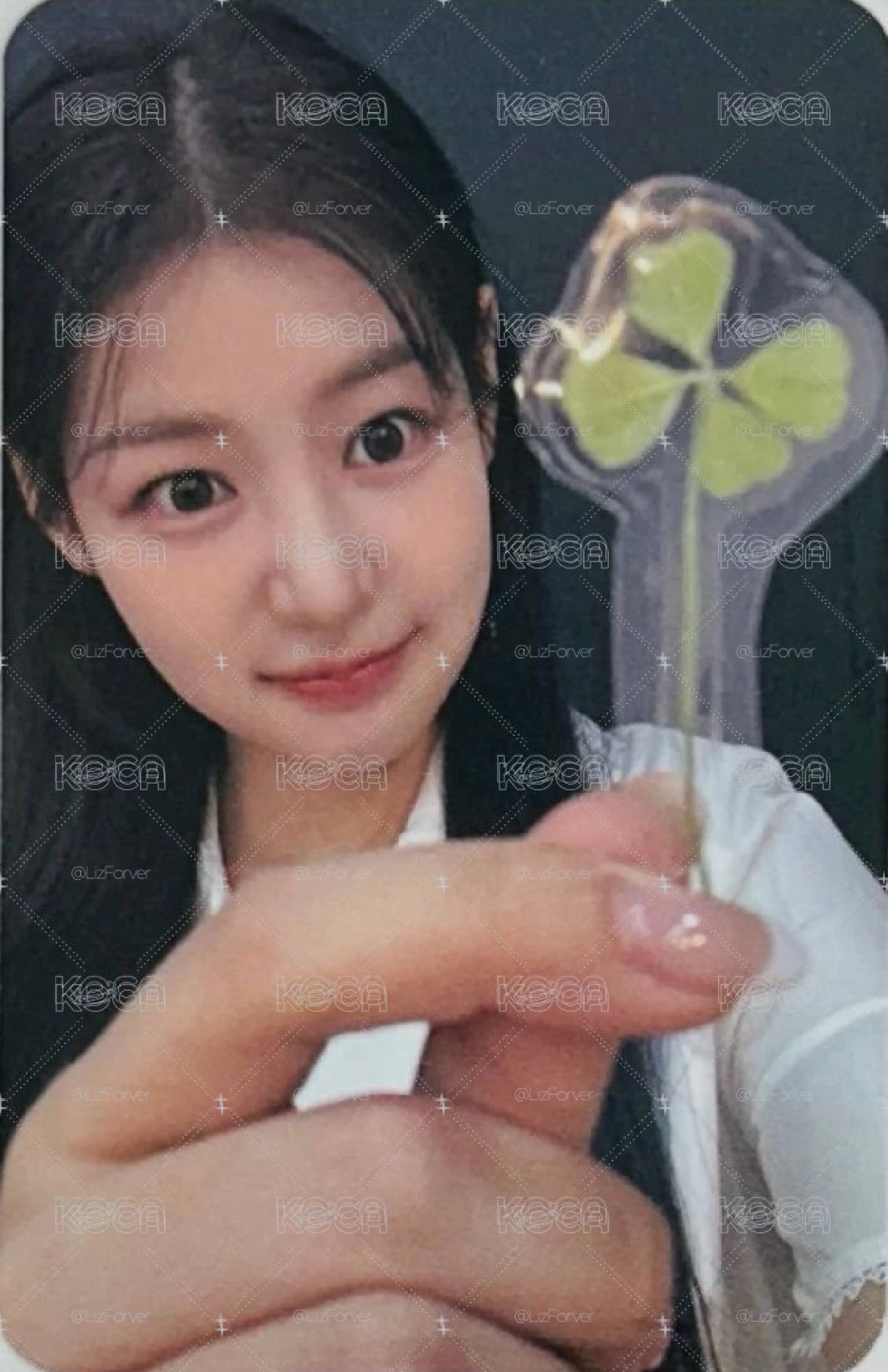 Love Tune Kpopstore 線上 1.0幸運草