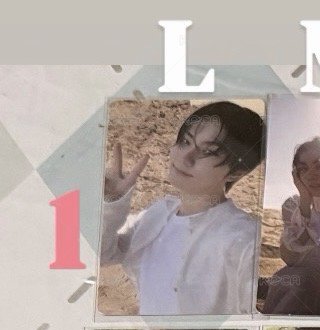 L1