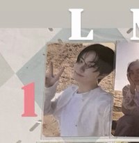 L1