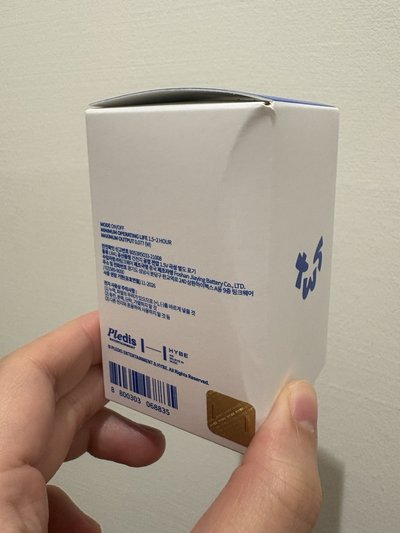 (現貨) TWS 官方 應援大小手燈