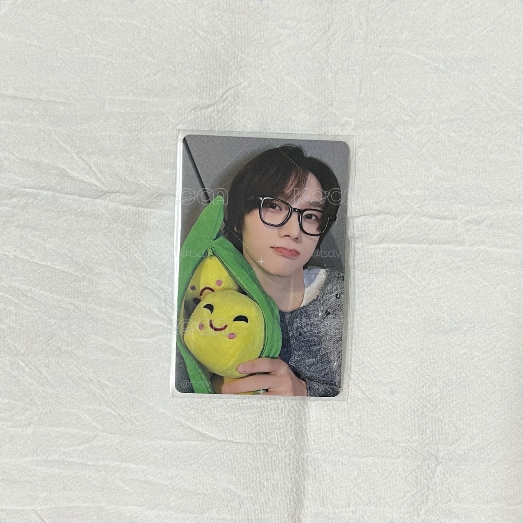 BND 豌豆成淏