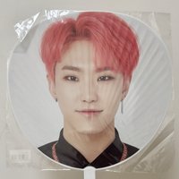 SVT 順榮