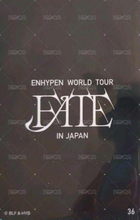FATE世巡 日巡 隨機卡 36 背面