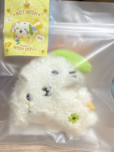 口袋娃
