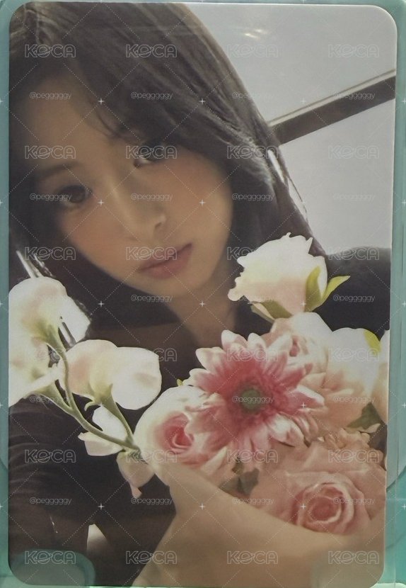 一元起標💰拿花賢