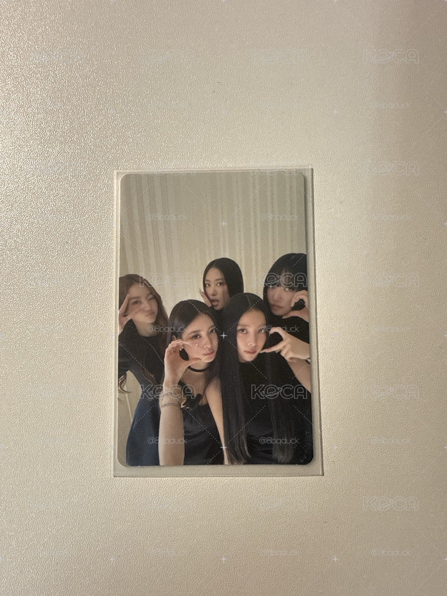 Meovv美網團卡
