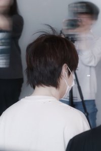 想當閔喵的貓