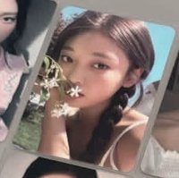 聞花