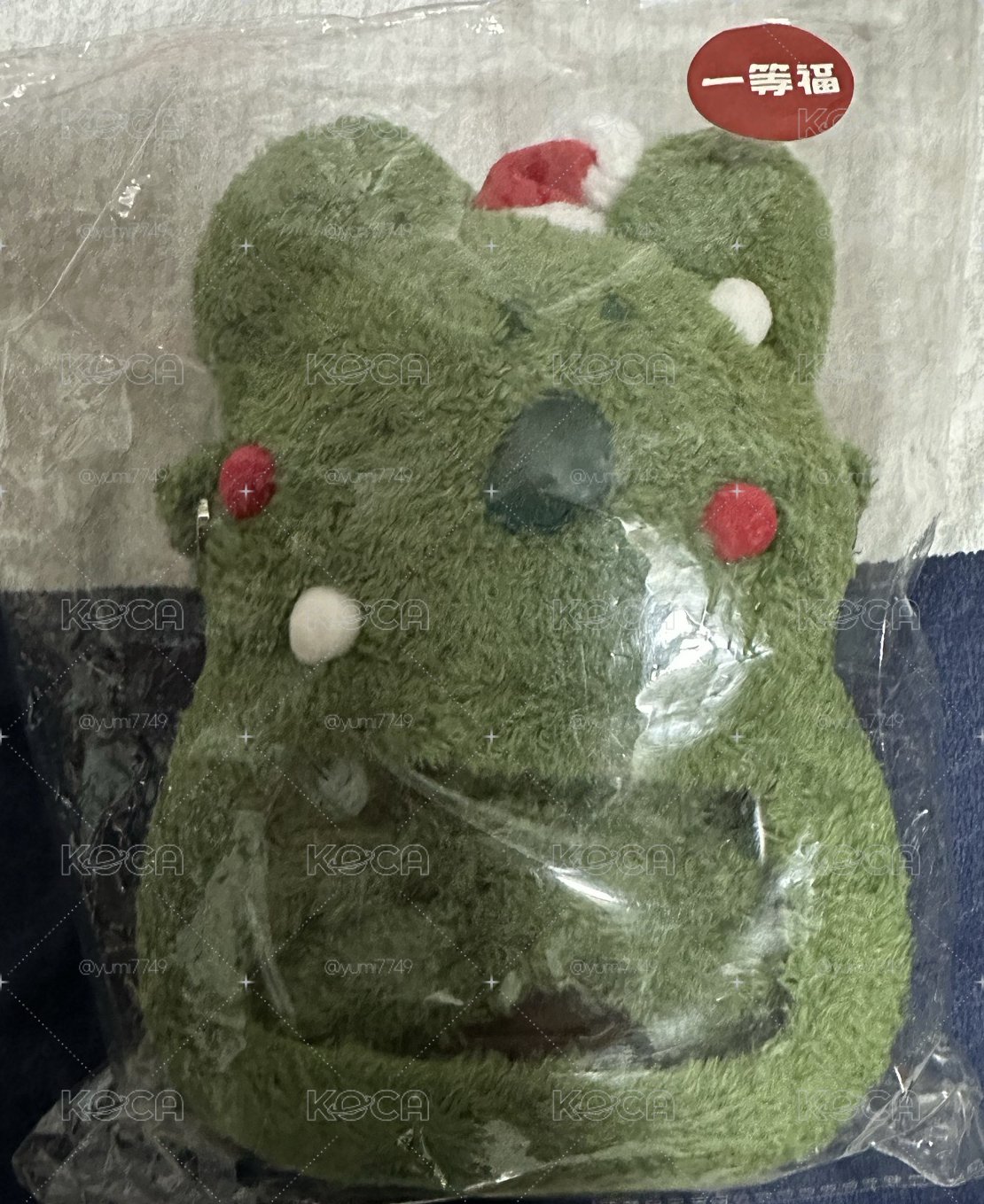 DINOTAENG冬日頌歌