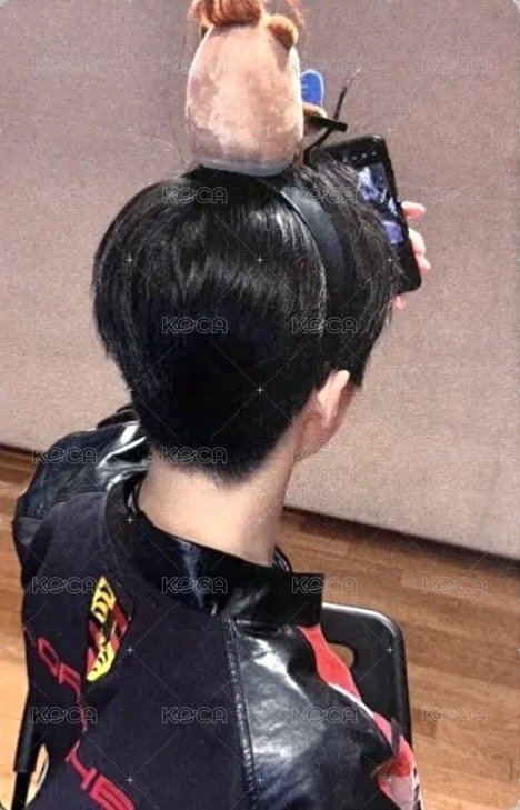 WITNESS fp 線上 簽售卡 水豚ver. 背面