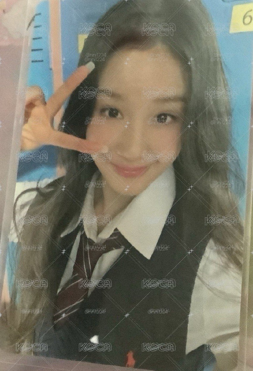 pharita立牌 小卡
