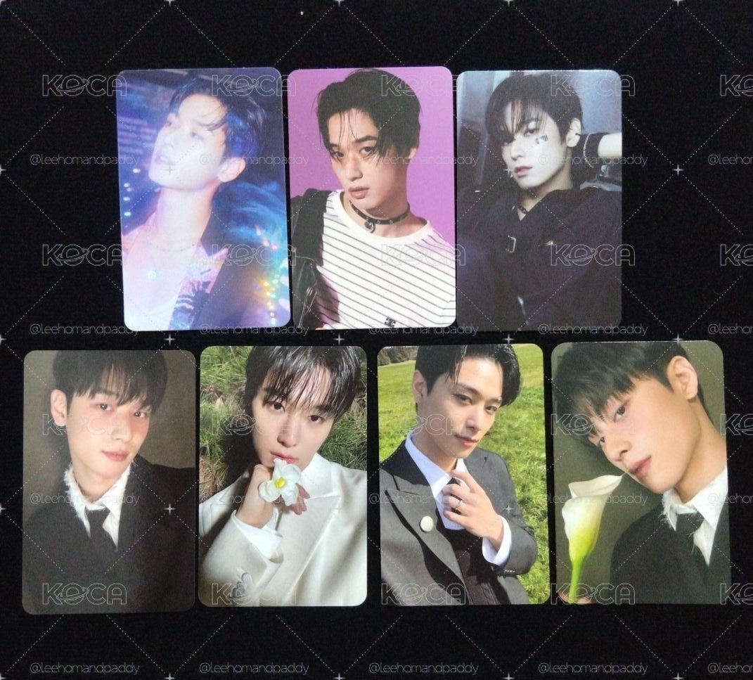 TBZ | 柱延 phantasy  小盤 