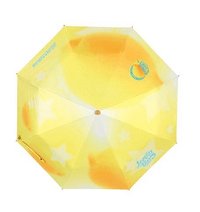 迷二快閃 雨傘 