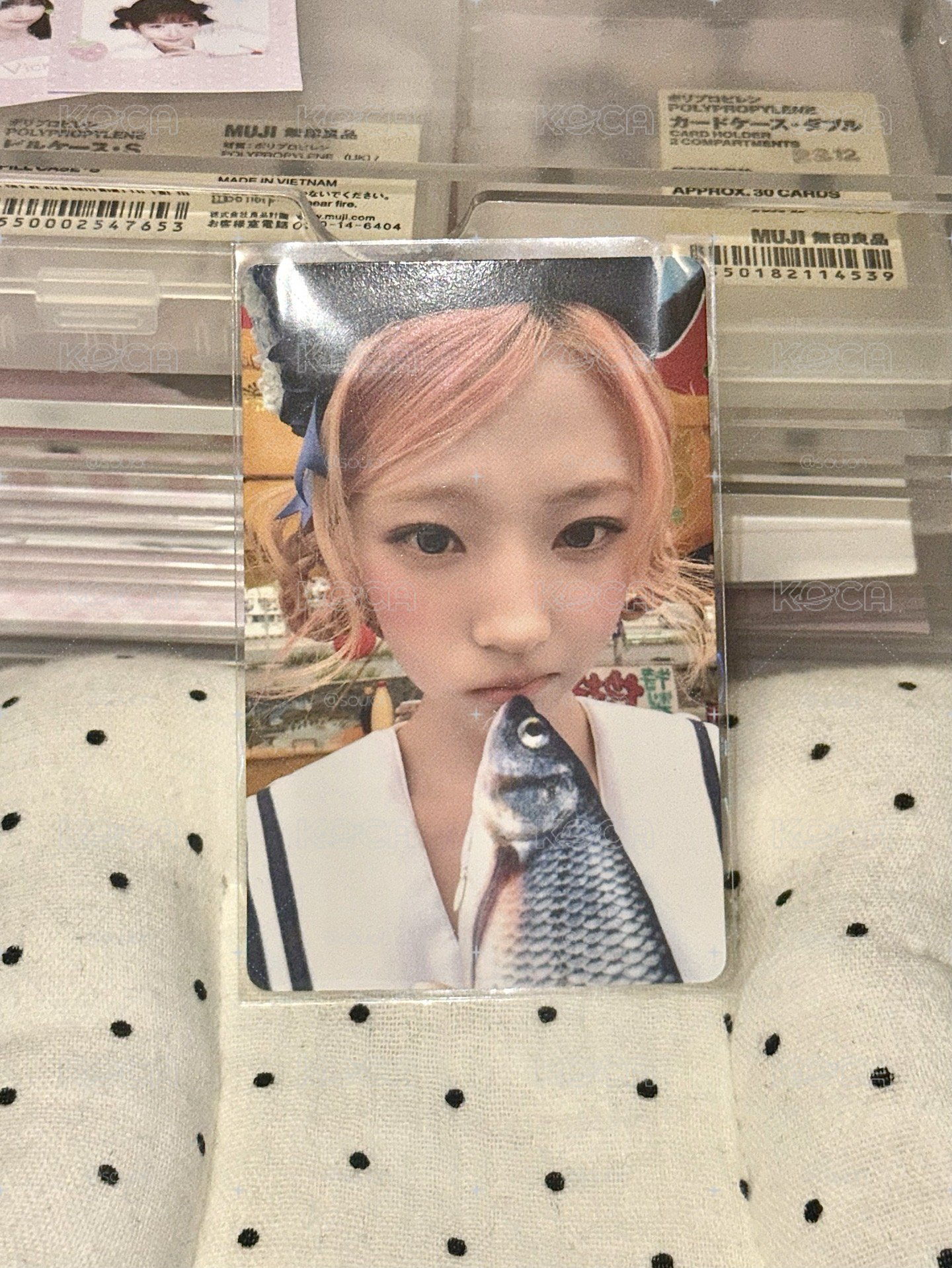 迷二 stella