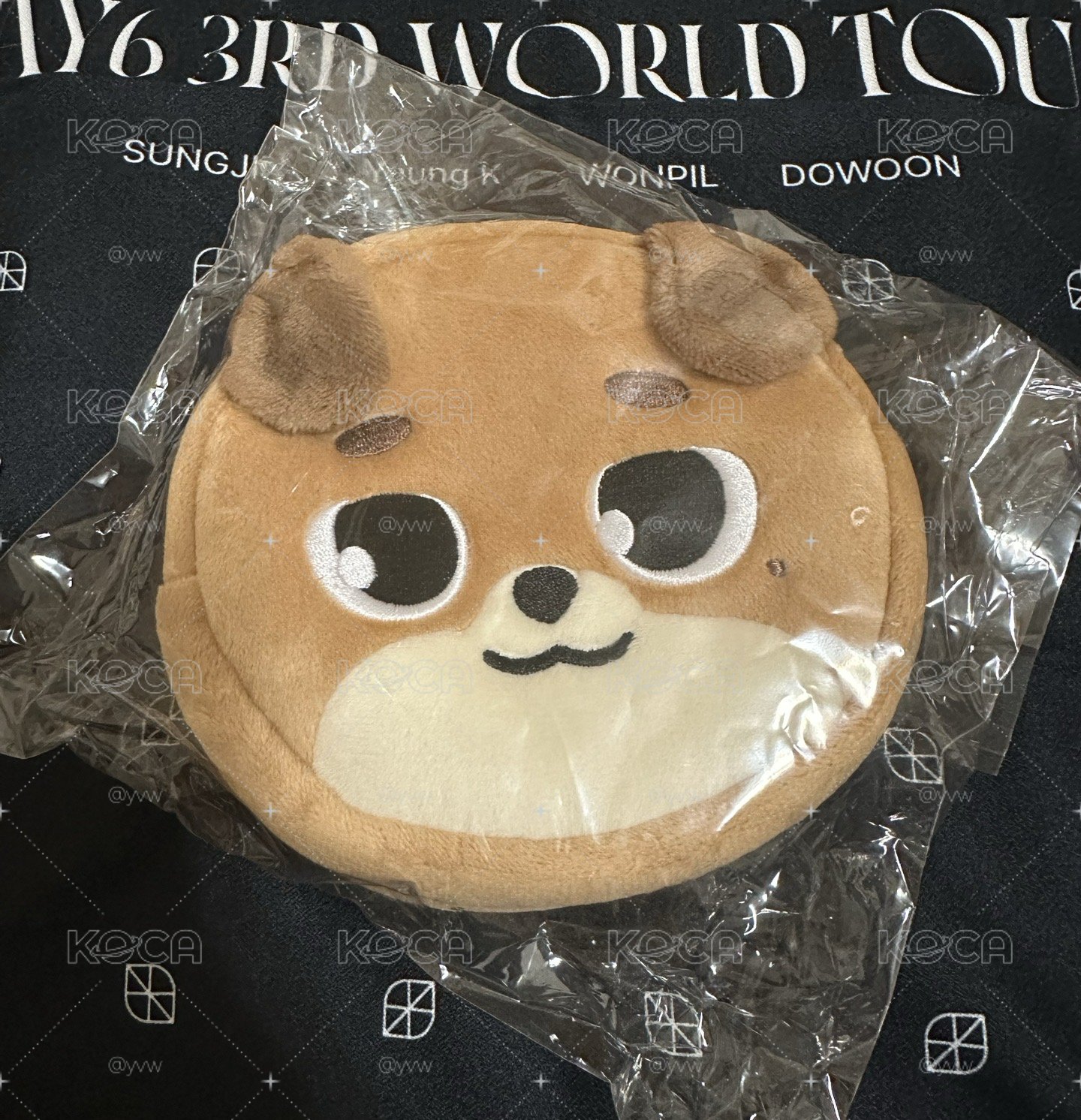 日周🐶大頭收納包 （全新僅拆檢 未使用）