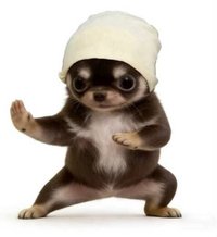 臘腸狗