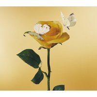 3rd Full Album「おいしいパスタがあると聞いて」