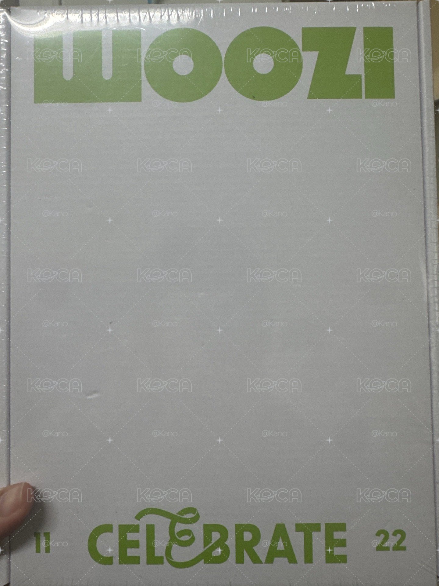 Woozi 生日禮盒