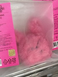 黃春火龍果吊飾