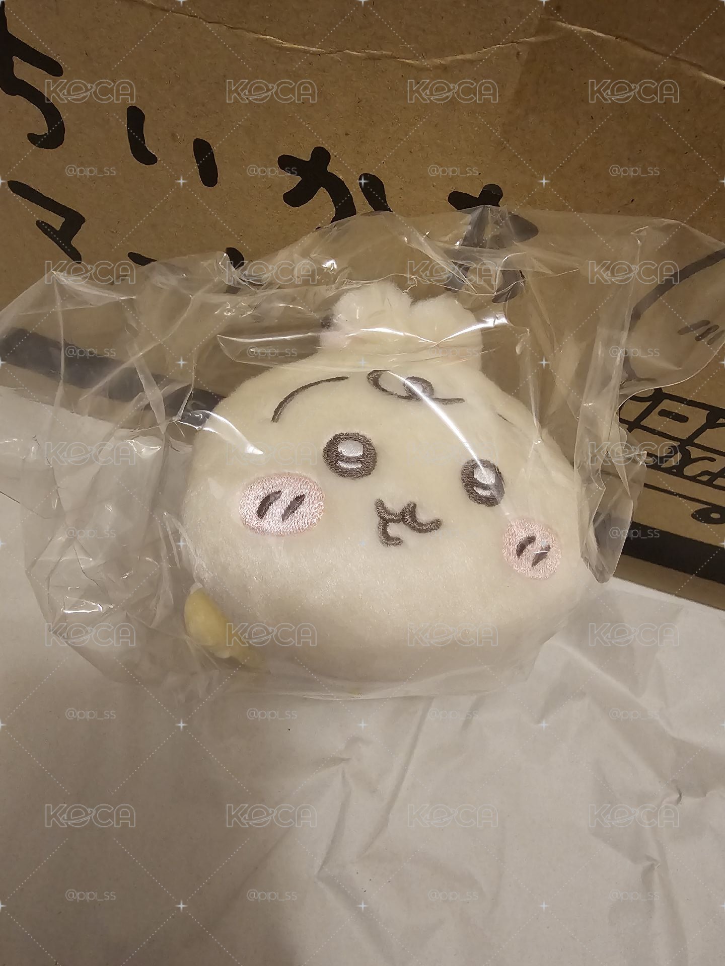 寶寶兔