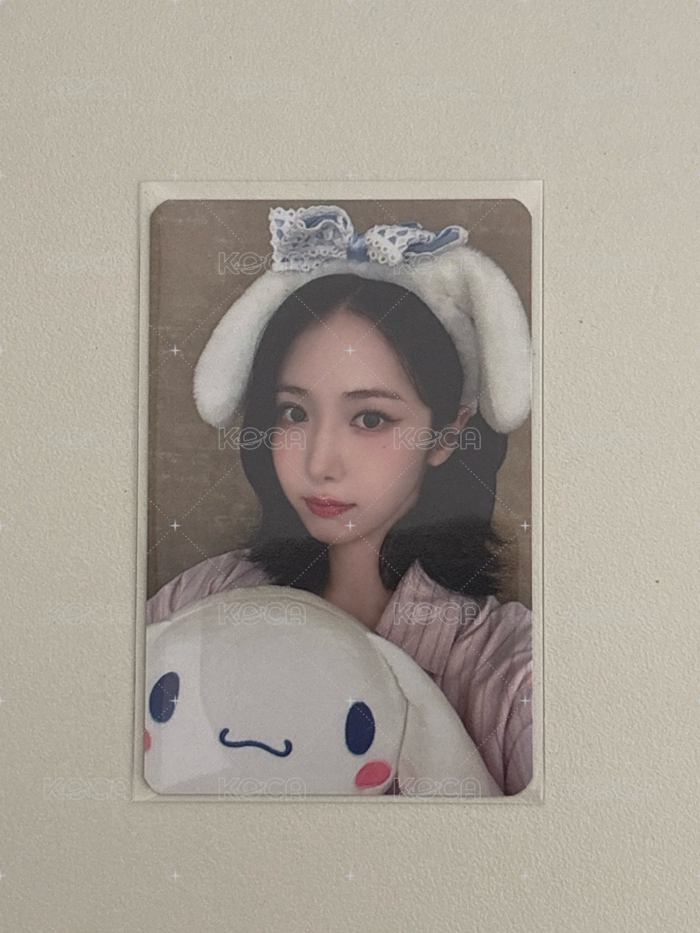 Sinb 大耳狗