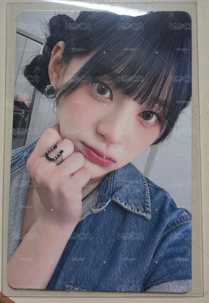 貓貓拳銀🐱