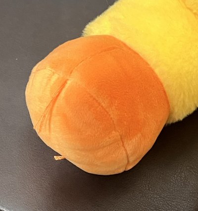 菲泰迪