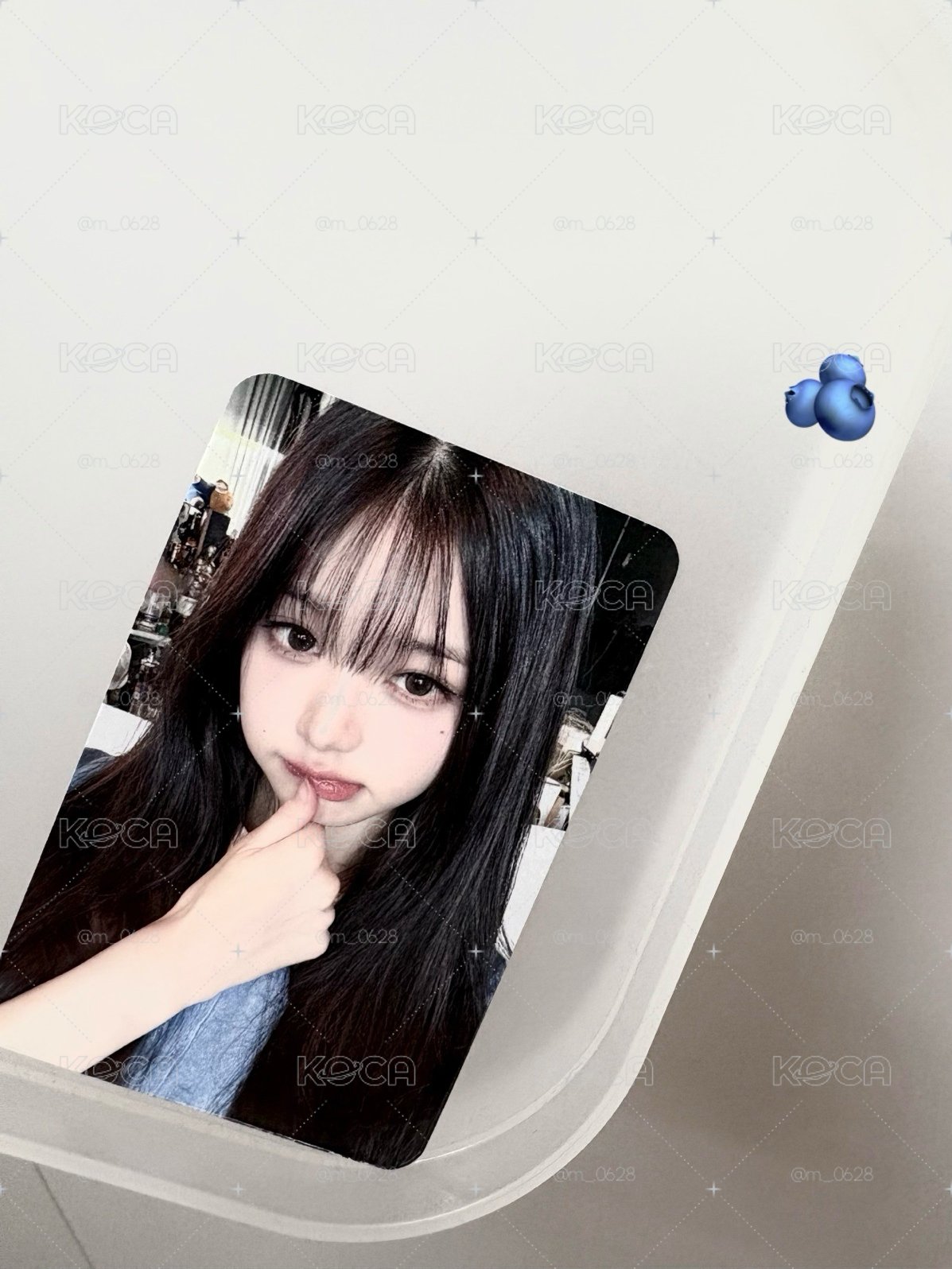 美萌藍莓員🫐（客訂）