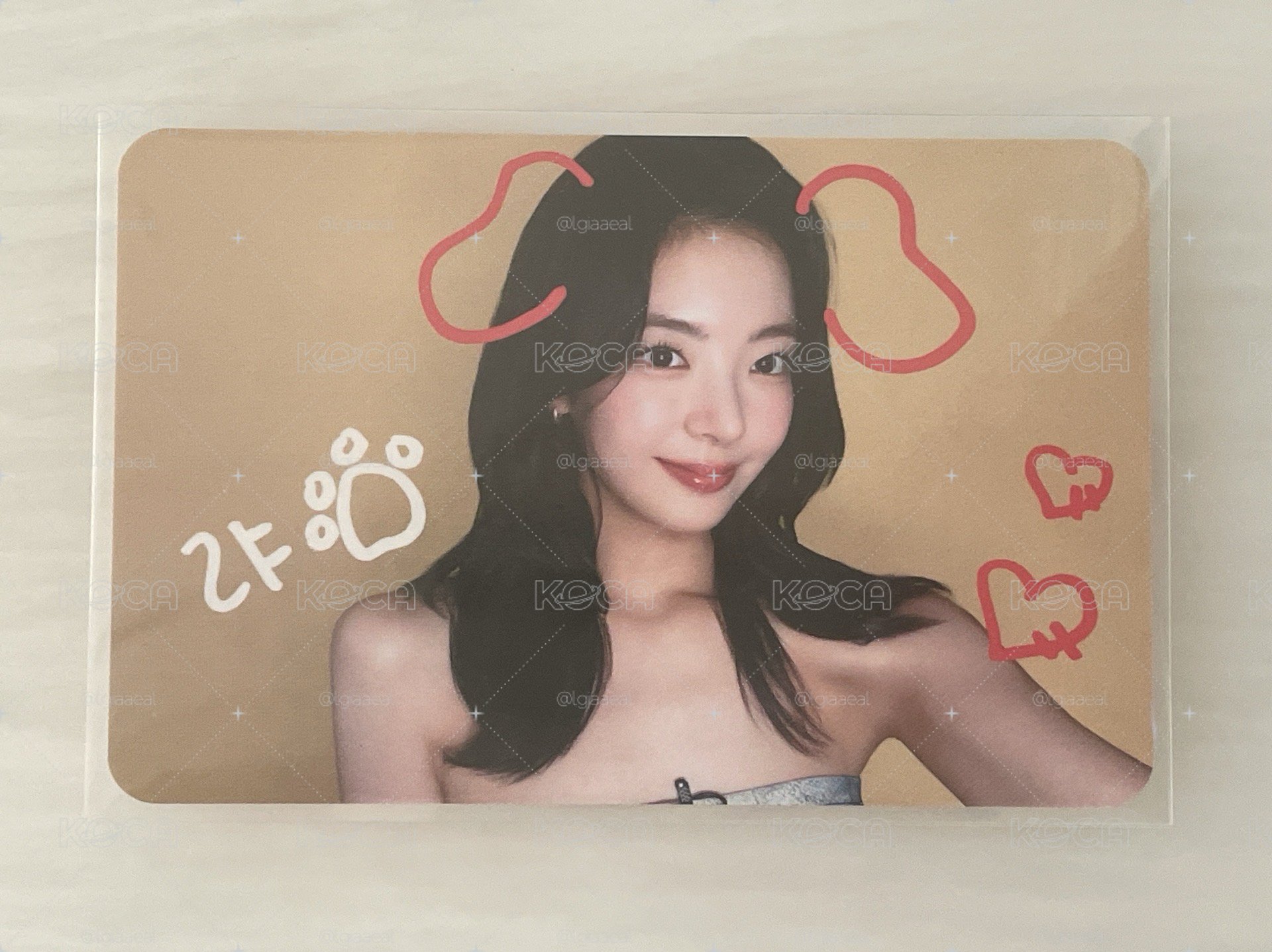 寵物鏡頭粒