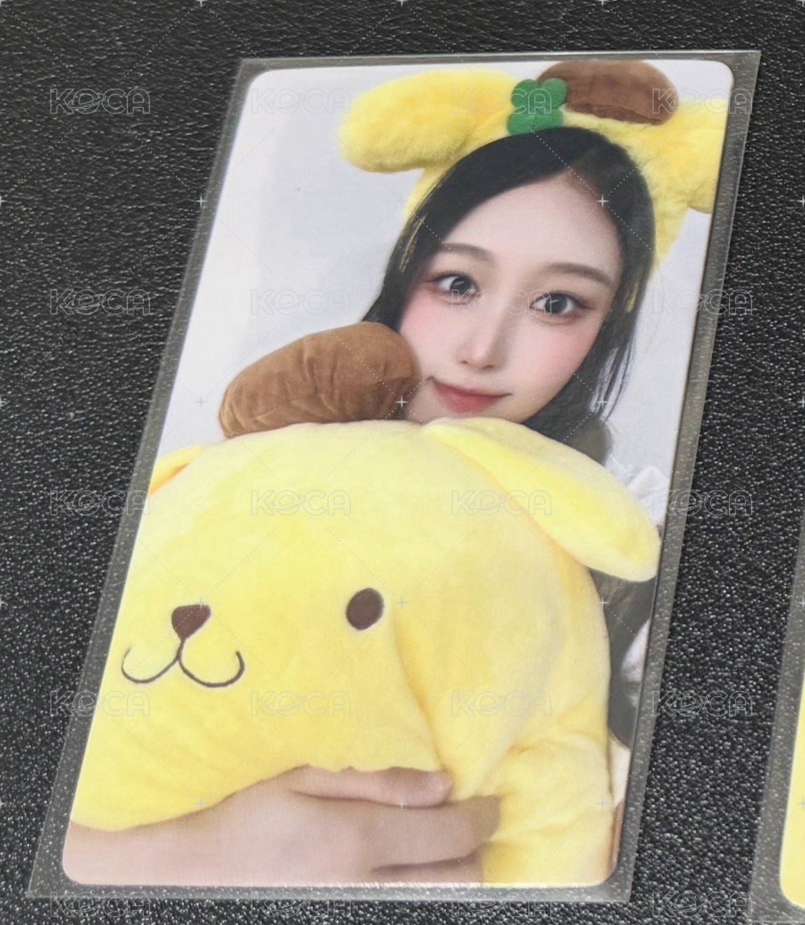 SOHA 布丁狗