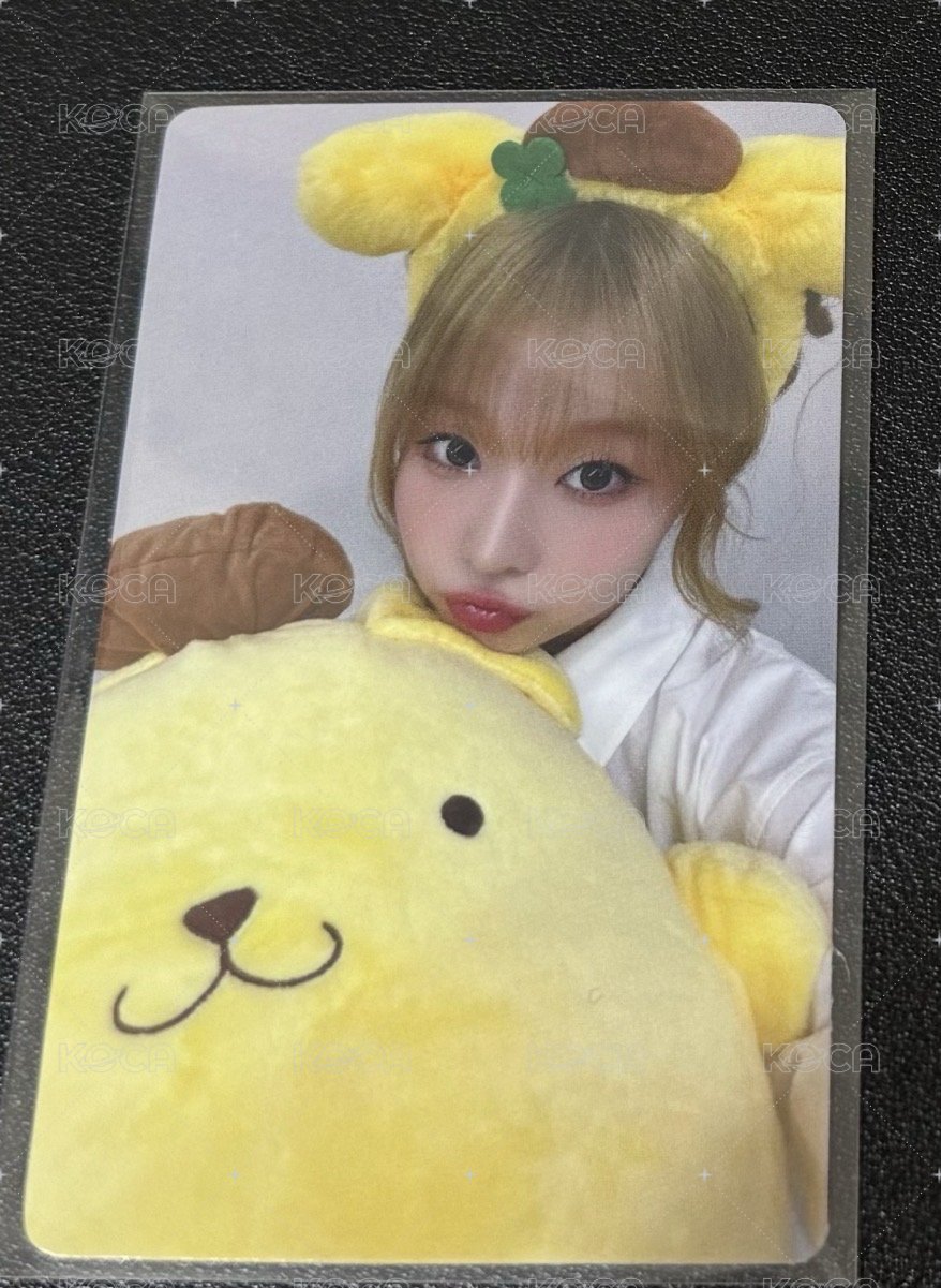 DOHEE 布丁狗