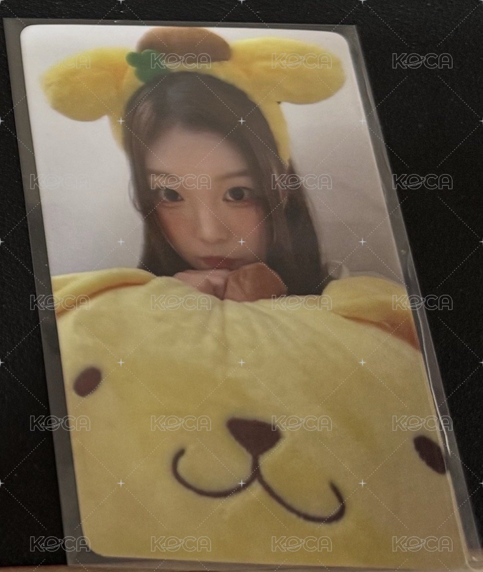 SEUNGJOO 布丁狗
