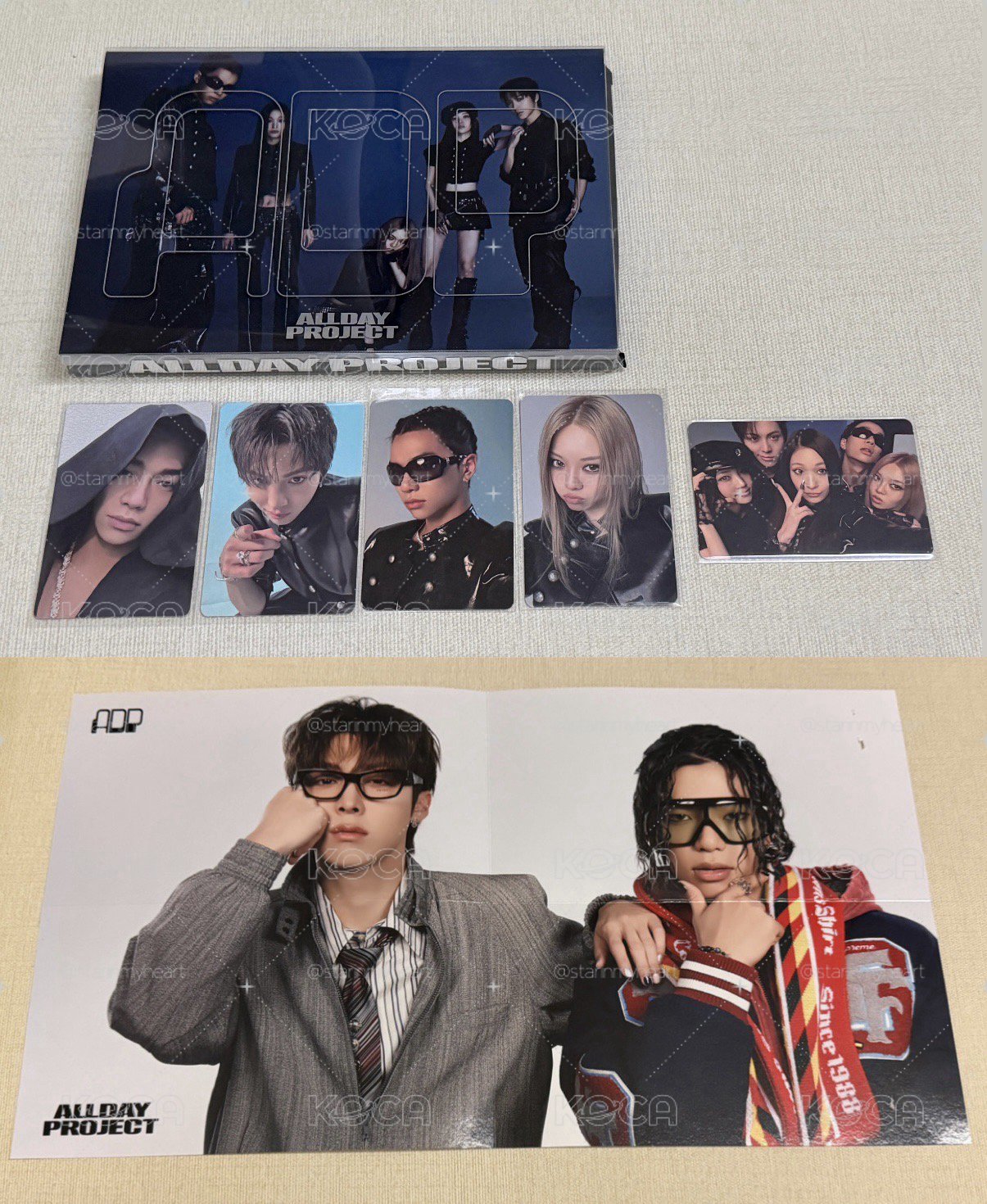 ADP全專+泰燦海報