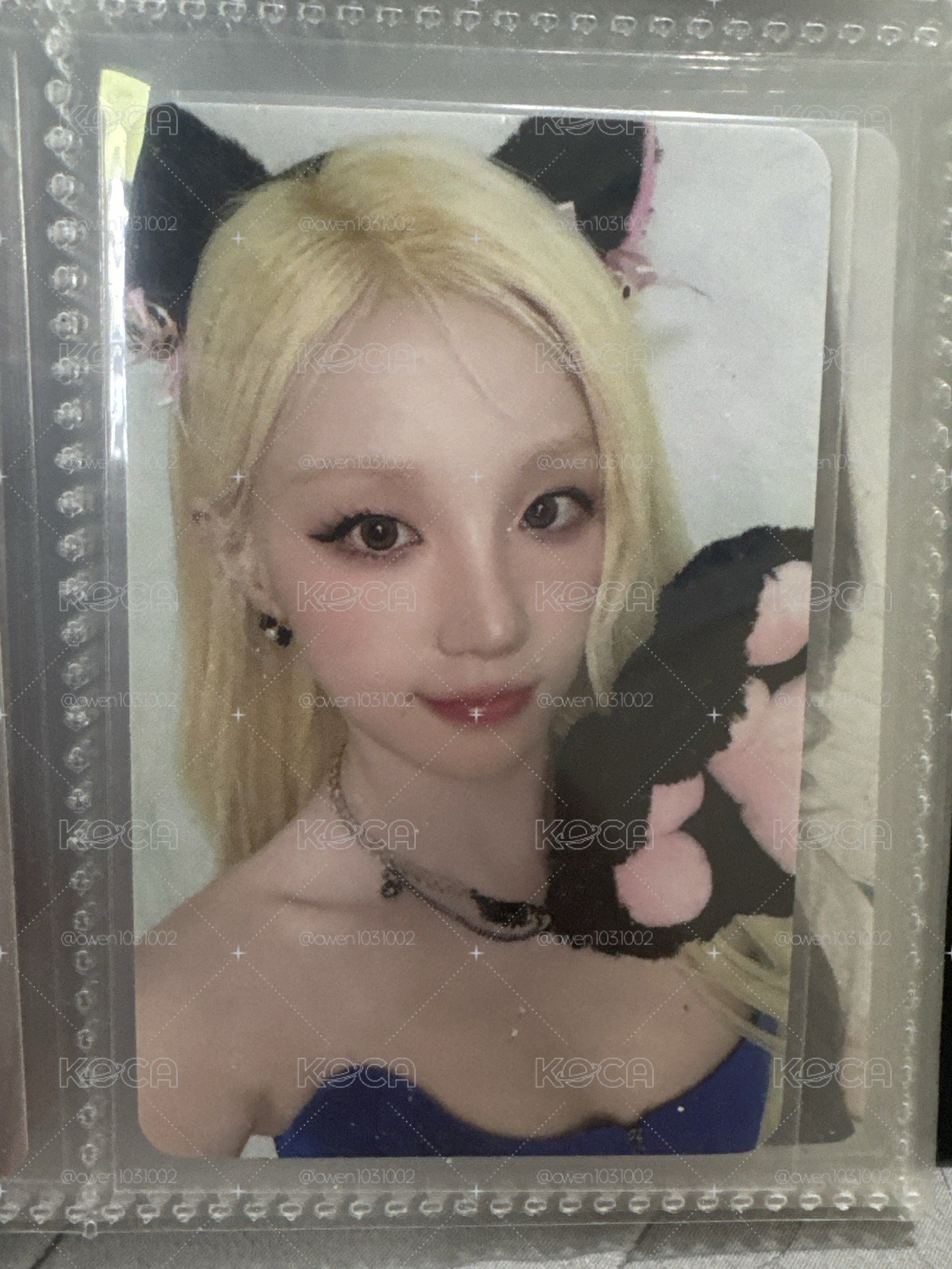 貓抓琦