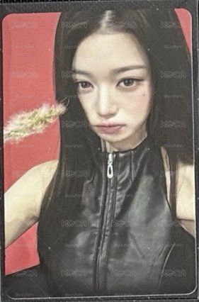 楠藝員