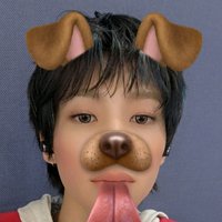 유선