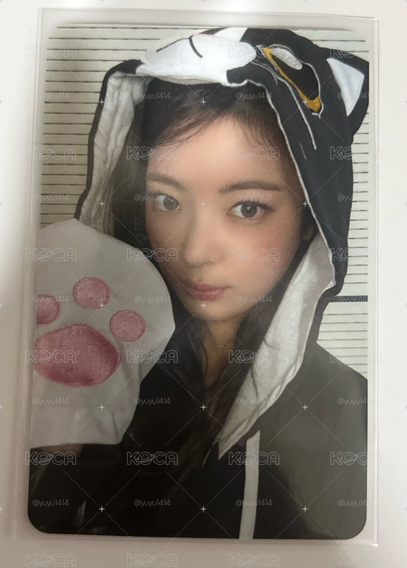 tnvs星河簽售卡