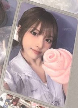 玫瑰花