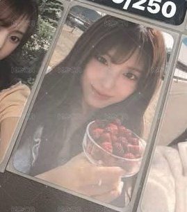 樹莓