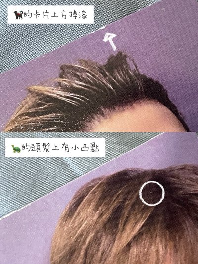 🫧blue lips 成員小卡｜現貨