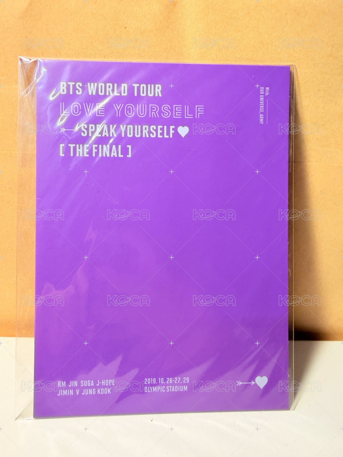 SY Tour wvs The Final 票卡  背面