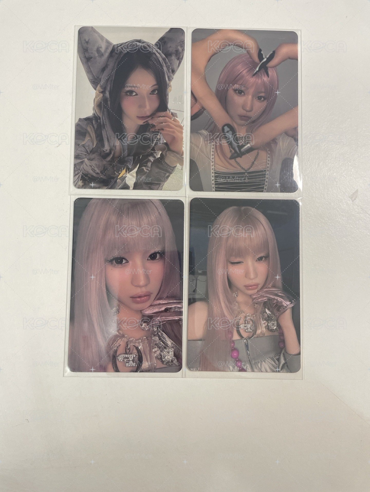 紗🐰專卡盤