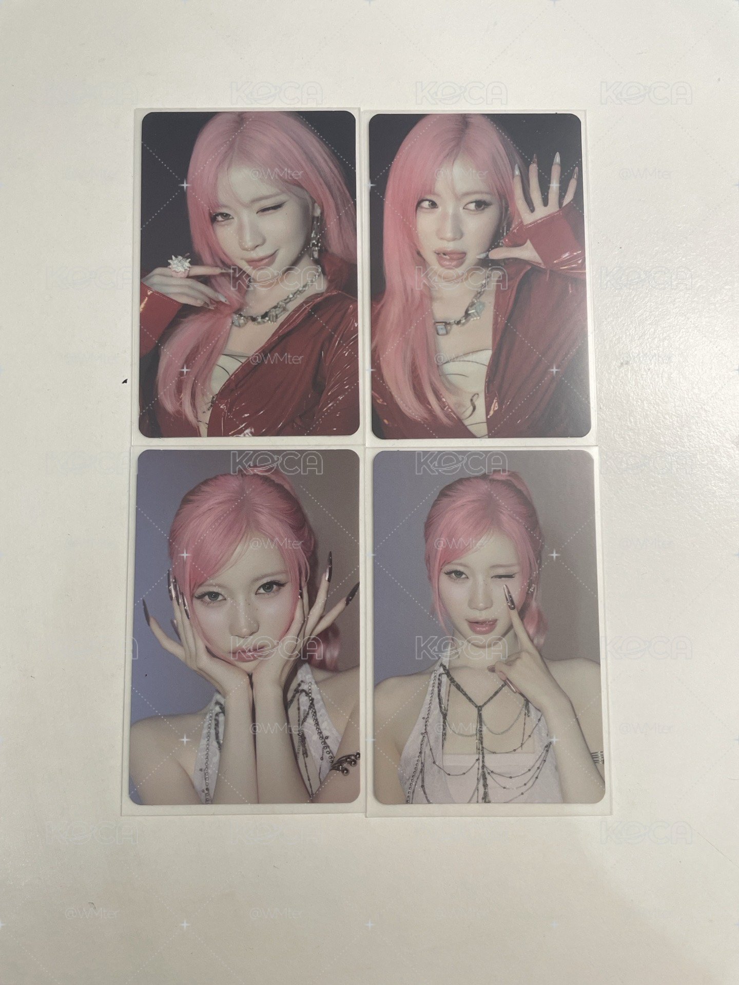 紗🐰專卡盤