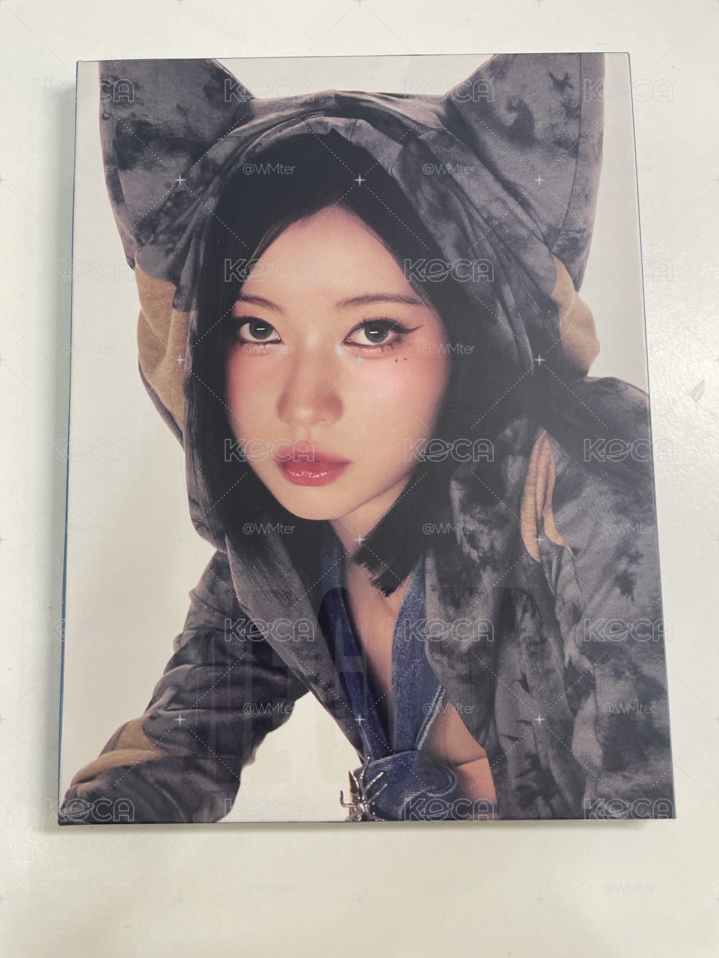 紗🐰專卡盤