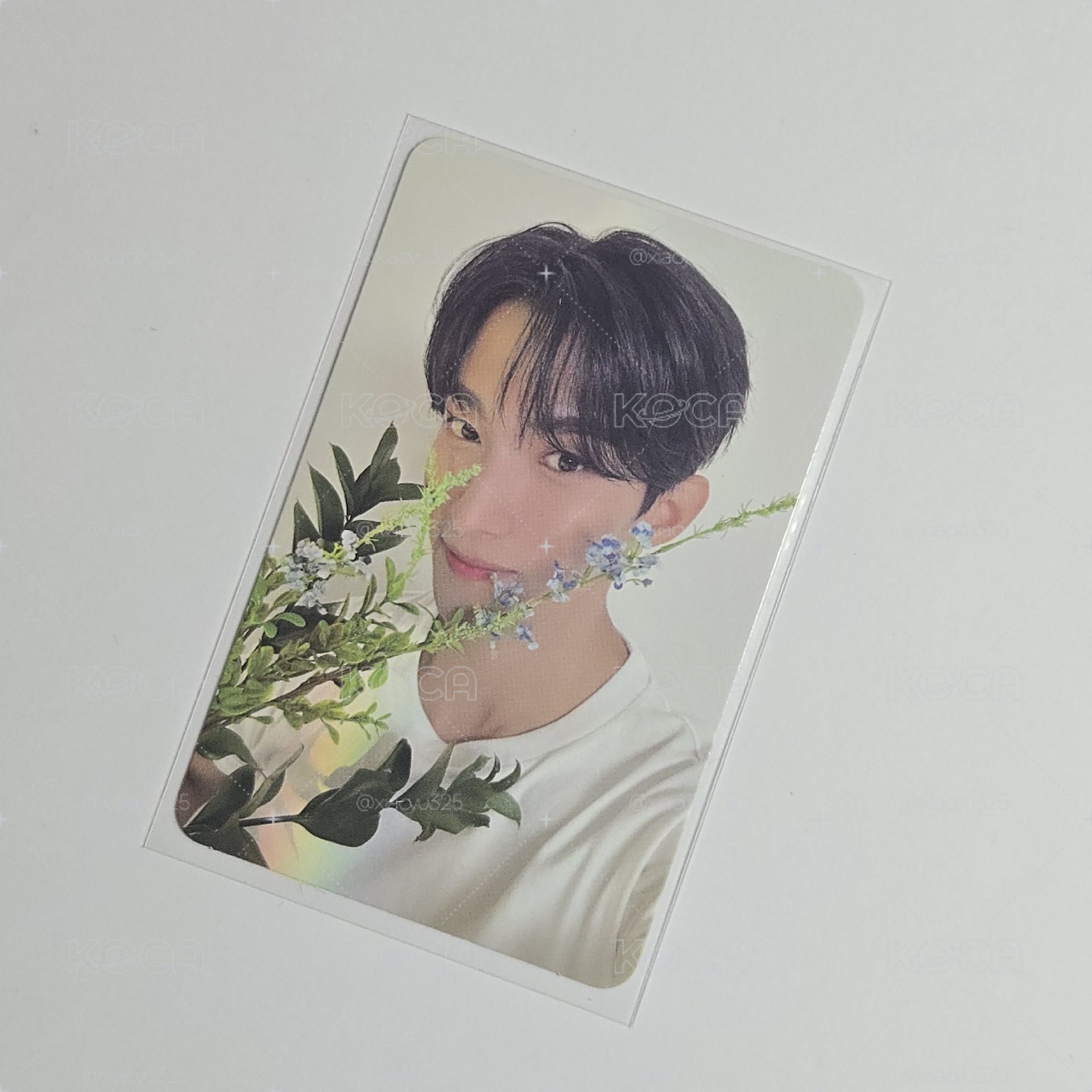 SVT 精選專 克拉盤 專卡 碩