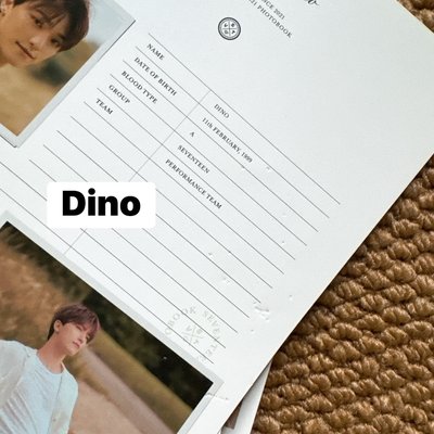 珉奎 DinoSOCIAL CLUB 履歷表 檔案卡 不拆賣