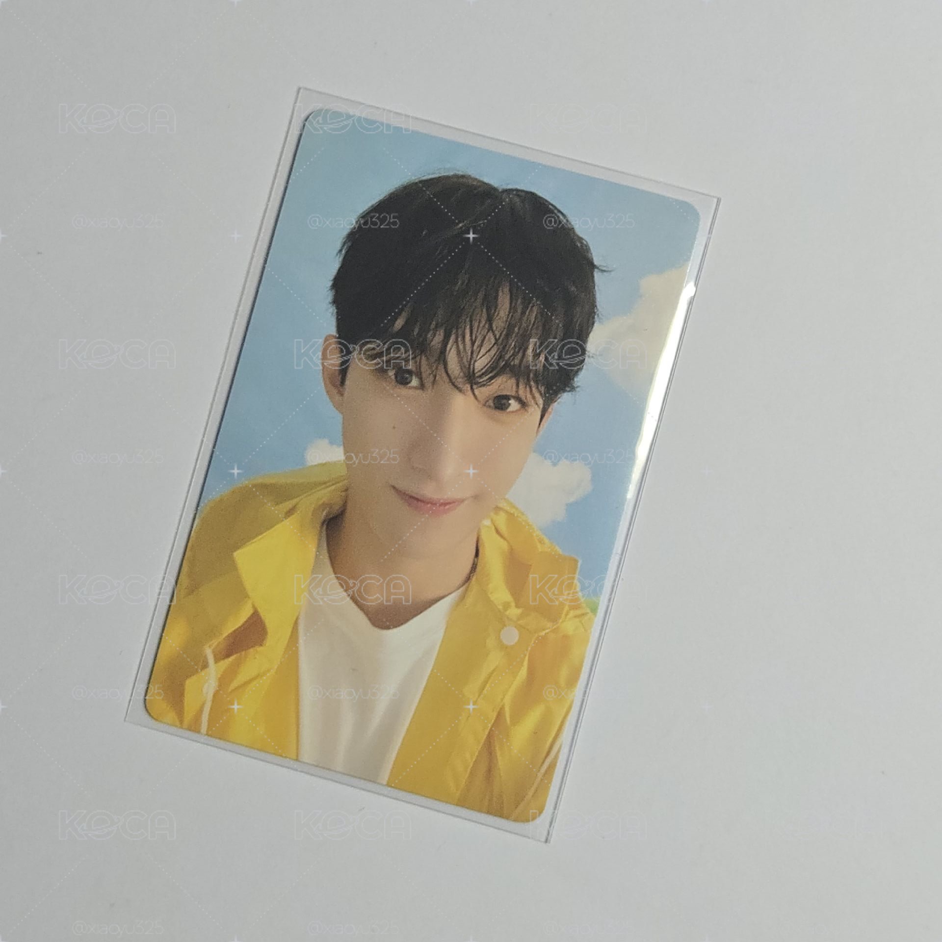SVT mini11克拉盤 專卡 碩